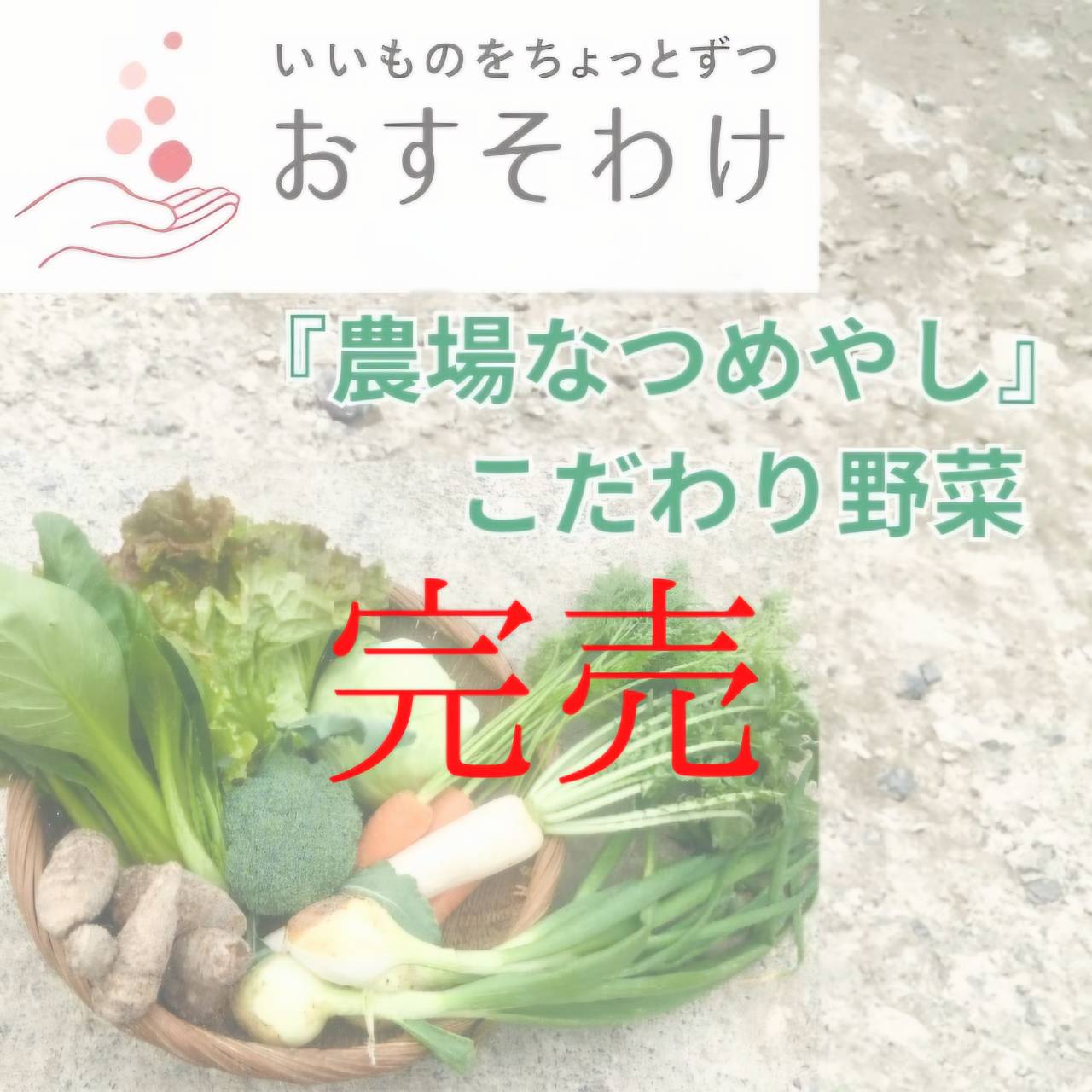 8食限定 有機野菜の定期便