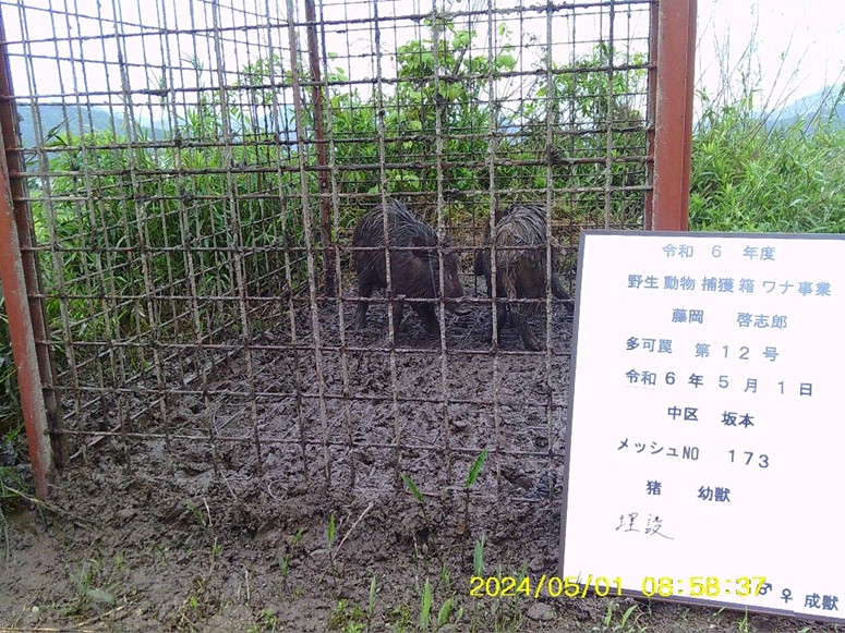 近況報告と感謝